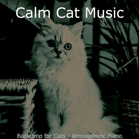 Lively Solo Piano Jazz - Vibe for Cats