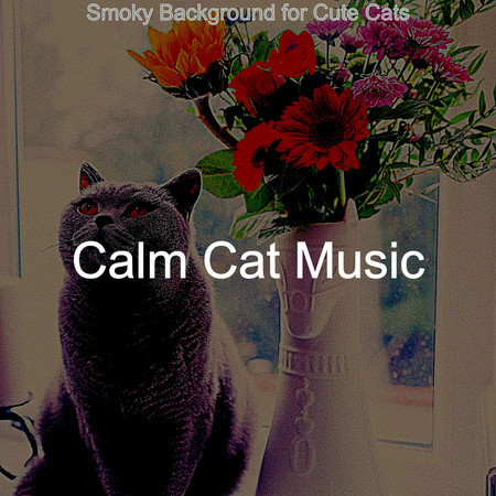 Mellow Ambience for Cute Cats