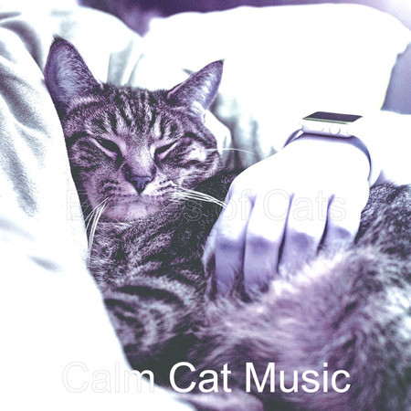 Delightful Solo Piano Jazz - Vibe for Relaxing Your Cat