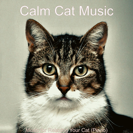 Mellow Music for Relaxing Your Cat