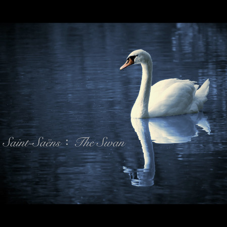 Saint-Saëns：The Swan