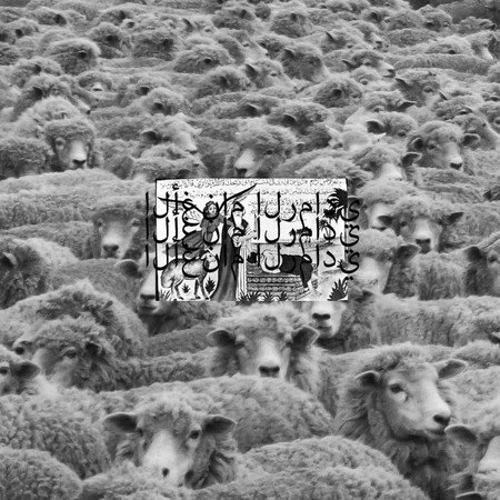 Grey Sheep II 專輯封面
