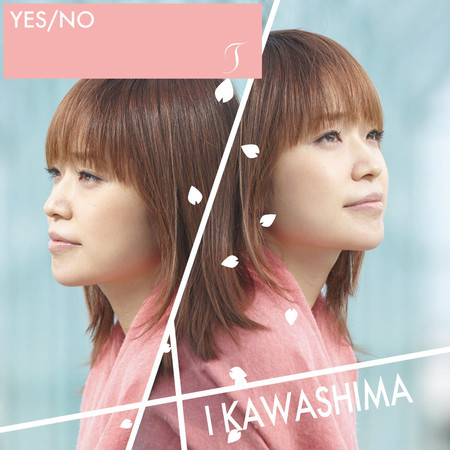 YES/NO