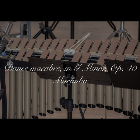 Charles Camille Saint-Saëns：Danse macabre in G Minor, Op. 40 (Marimba)