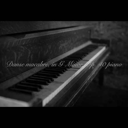 Charles Camille Saint-Saëns：Danse macabre in G Minor, Op. 40 (piano) 專輯封面