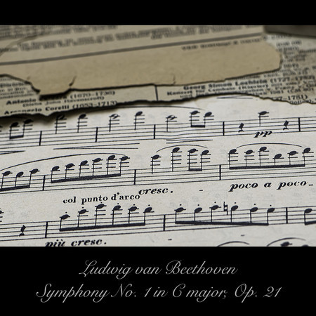 Ludwig van Beethoven：Symphony No. 1 in C Major, Op. 21