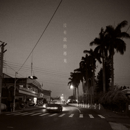 沒有說的再見