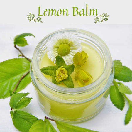 Lemon Balm