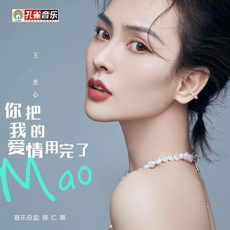 你把我的愛情用完了