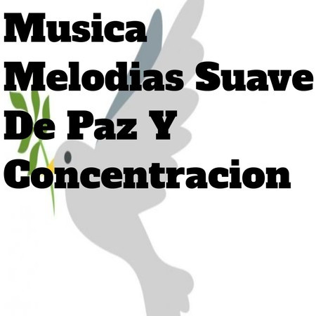 Musica Melodias Suave de Paz y Concentracion