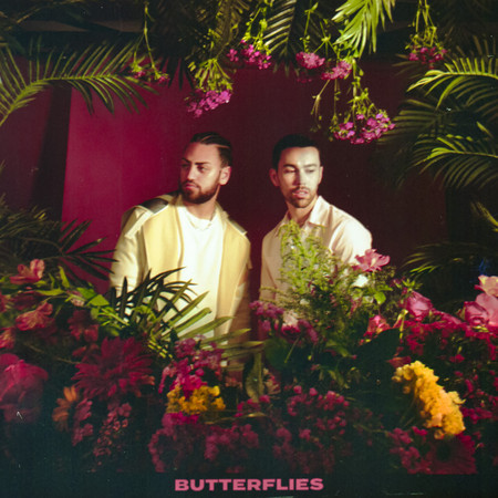 Butterflies 專輯封面