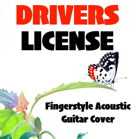 Drivers License (Fingerstyle Acoustic Guitar Cover)