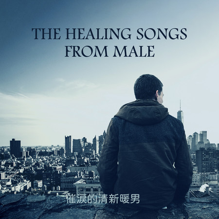 催淚的清新暖男 The Healing Songs from Male