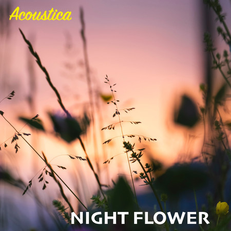 Night Flower