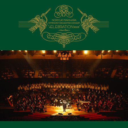 Yasashii Uta Ga Utaenai (Live At Nippon Budokan / 2005)