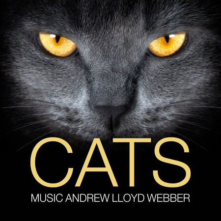 Gus, The Theatre Cat (From Cats the Musical)