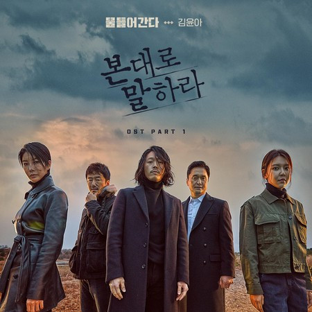 Tell Me What You Saw 본 대로 말하라 (Original Television Soundtrack), Pt.1