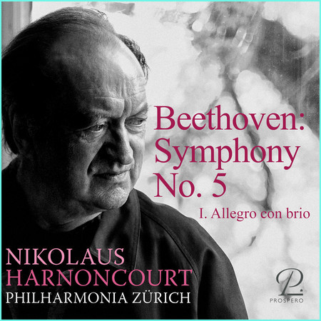 Symphony No. 5: I. Allegro con brio