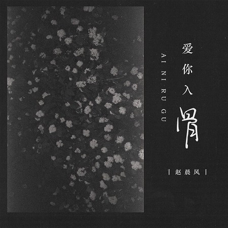 專輯封面