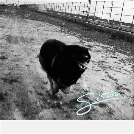 Sissou專輯 Yogee New Waves Line Music Sissou專輯 Yogee New Waves Line Music