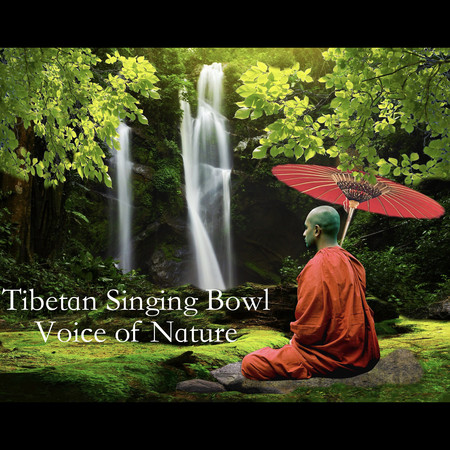 ASMR Tibetan Singing Bowl：Voice of Nature 