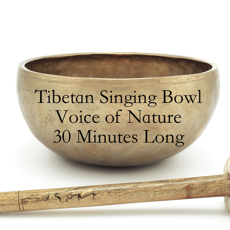 Tibetan Singing Bowl Voice of Nature 30 Minutes Long