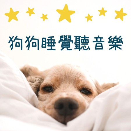 狗狗睡覺聽音樂: 狗狗減輕壓力, 放鬆音樂入睡, 動物醫院ＢＧＭ