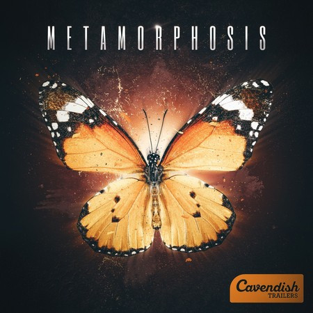 Metamorphosis