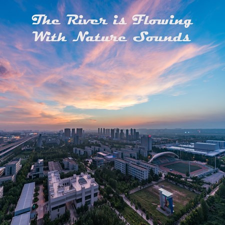 The River is Flowing With Nature Sounds