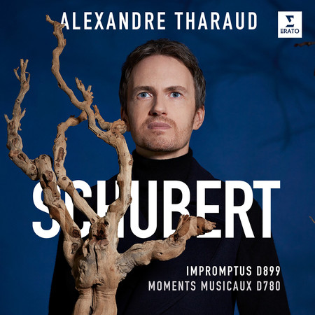 Schubert: Moments musicaux, Op. 94, D. 780: No. 4 in C-Sharp Minor