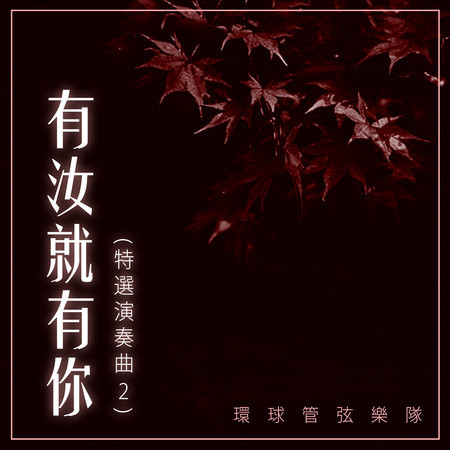 有汝就有你（特選演奏曲2）
