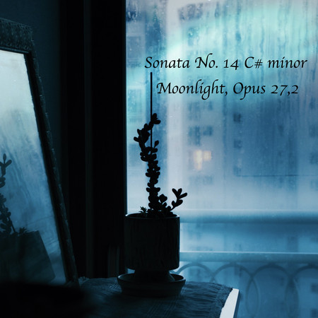Sonata No. 14 C# minor (Moonlight) , Opus 27,2 3 Ali