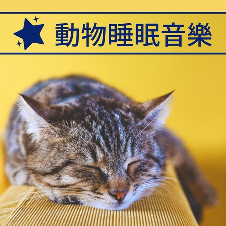狗狗音樂