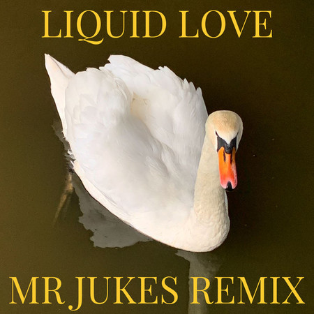 Liquid Love (Mr Jukes Remix) 專輯封面