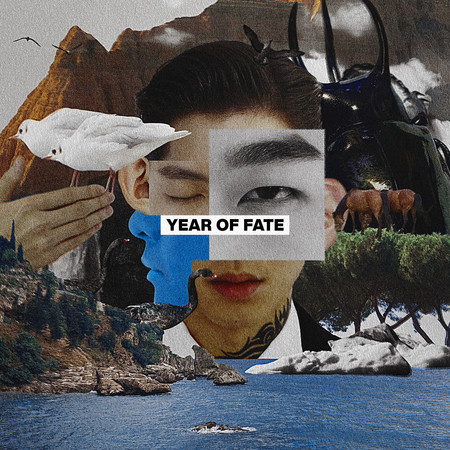 Year of Fate 專輯封面