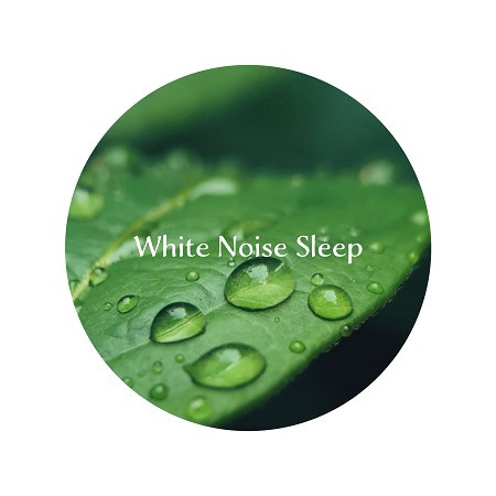 睡眠 白噪音 雨聲 自然森林氛圍之聲 (White Noise Sleep：Rain Sounds ASMR)
