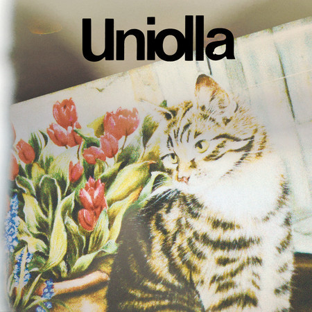 Uniolla