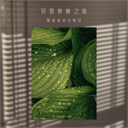 冥想森林的蟲鳴 (Meditation on the insects of the forest)