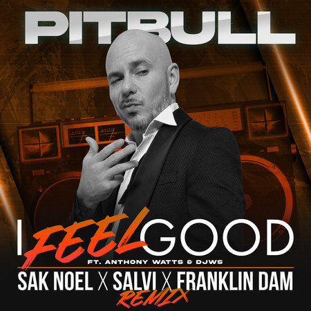 I Feel Good (Sak Noel X Salvi X Franklin Dam Remix) 專輯封面
