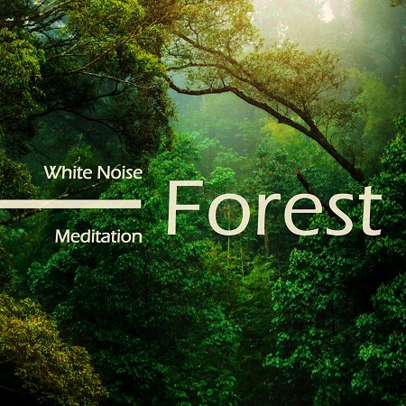 白噪音 冥想 助眠純音樂ASMR 森林 (White Noise Meditation：Forest Sounds ASMR) 專輯封面