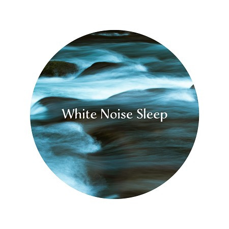 白噪音 大自然白噪音：林間溪流 (White Noise：Forest stream)
