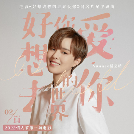 好想去你的世界愛你 (電影《好想去你的世界愛你》同名片尾主題曲)