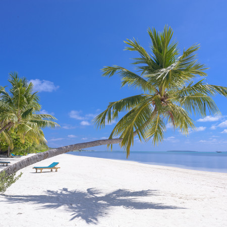 今天是我們快樂的時光