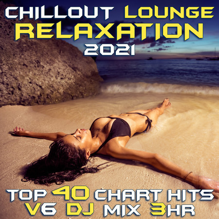 Chill Out Lounge Relaxation 2021 Top 40 Chart Hits, Vol. 5 DJ Mix 3Hr