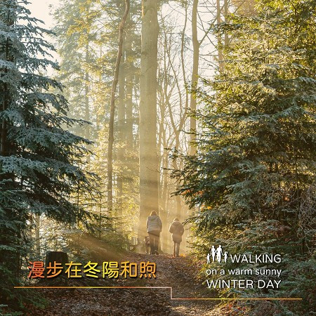 漫步在冬陽和煦 Walking on a warm sunny winter day