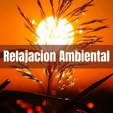 Relajacion Ambiental