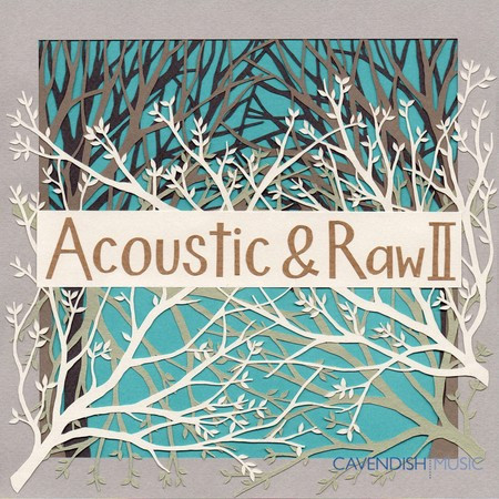 Acoustic & Raw, Vol. 2