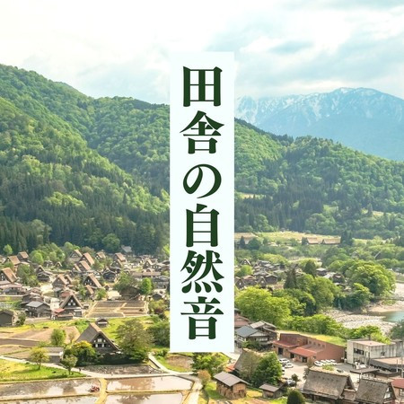 自然の中を歩く