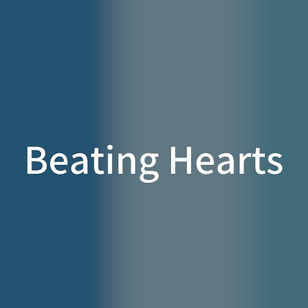 Beating Hearts (Original song:King & Prince) [Cover]