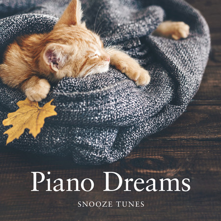 Piano Dreams: Snooze Tunes